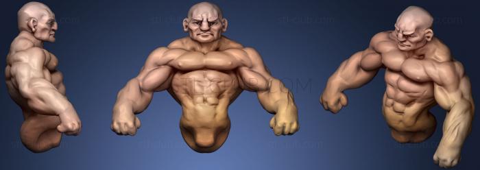 3D model Study Muscle (STL)